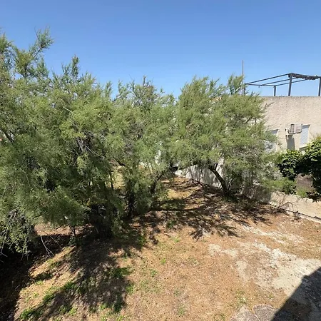 The Waterfront 弗龙蒂尼昂