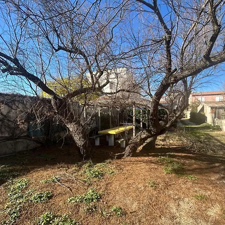 The Waterfront 弗龙蒂尼昂